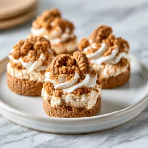 Mini Biscoff Cheesecake Bites for Parties